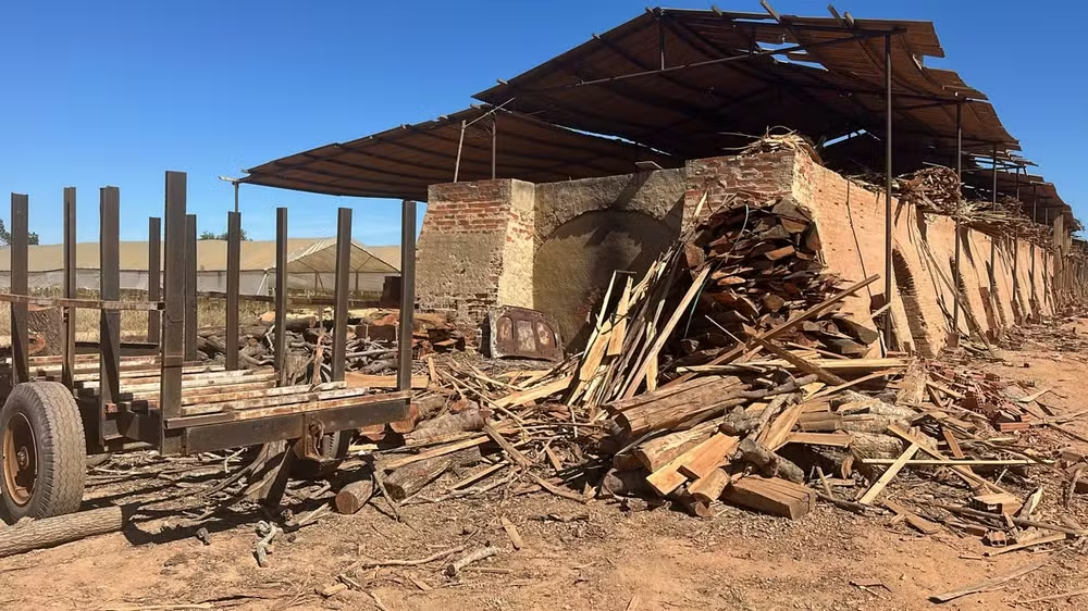 Olaria clandestina em Campos — Foto: Polícia Ambiental

