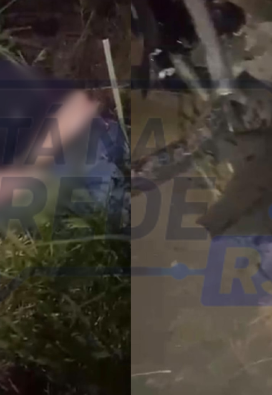 Reprodução - Redes Sociais